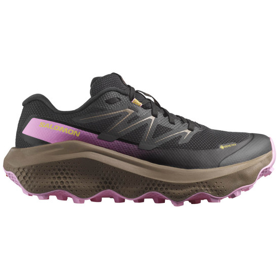 Salomon Ultra Flow 2 GTX W